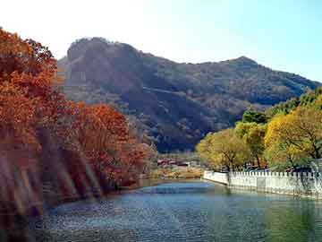 正新澳门二四六天天彩，站群模板